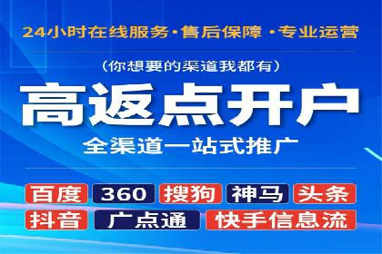 SEM公司案例研究：数据驱动营销策略